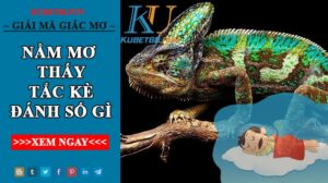 mơ tắc kè đánh con gì