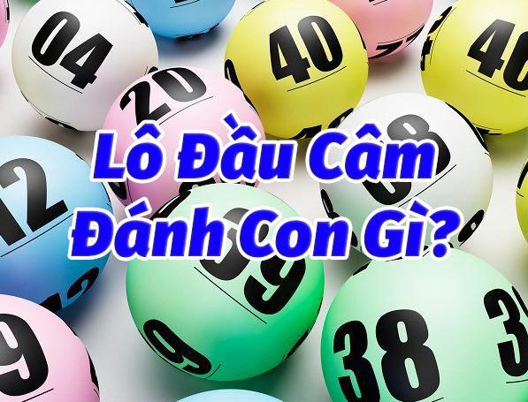 Cùng  nhau tìm hiểu đánh gì cho lần sau khi có lô đầu câm