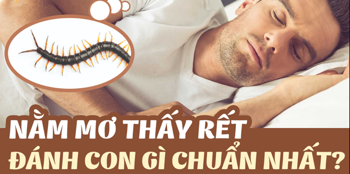 Nằm mơ thấy được con rết là số mấy?