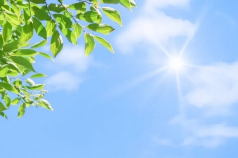 ดูแลสุขภาพตามฤดูกาล: หลัง “ครีษมายัน ” ควรกินอะไร และดูแลร่างกายอย่างไร? แพทย์จีนแนะนำครบถ้วน