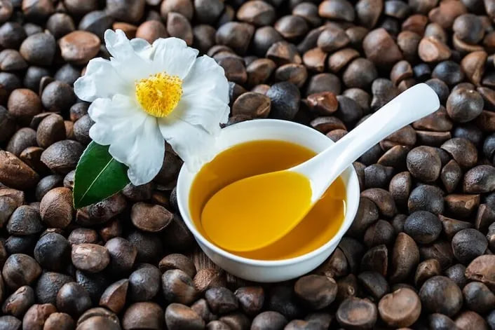 มีประโยชน์ยิ่งกว่าน้ำมันมะกอก! ช่วยลดความเสี่ยงโรคหลอดเลือดหัวใจ เปิด 4 เคล็ดลับวิธีเลือกซื้อน้ำมันเมล็ดคามิลเลีย (น้ำมันคามิลเลีย)